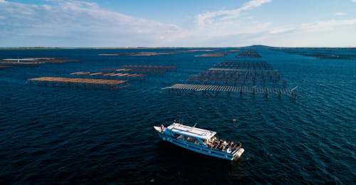 Boottocht in de lagune van Thau vanuit Marseillan met L'étoile de Thau IV Occitanie Boottocht in de lagune van Thau vanuit Marseillan met L'étoile de Thau IV Occitanie.