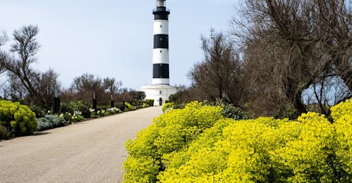 Boottocht van La Rochelle naar Île d'Oléron met Compagnie Interîles Charente-Maritime.