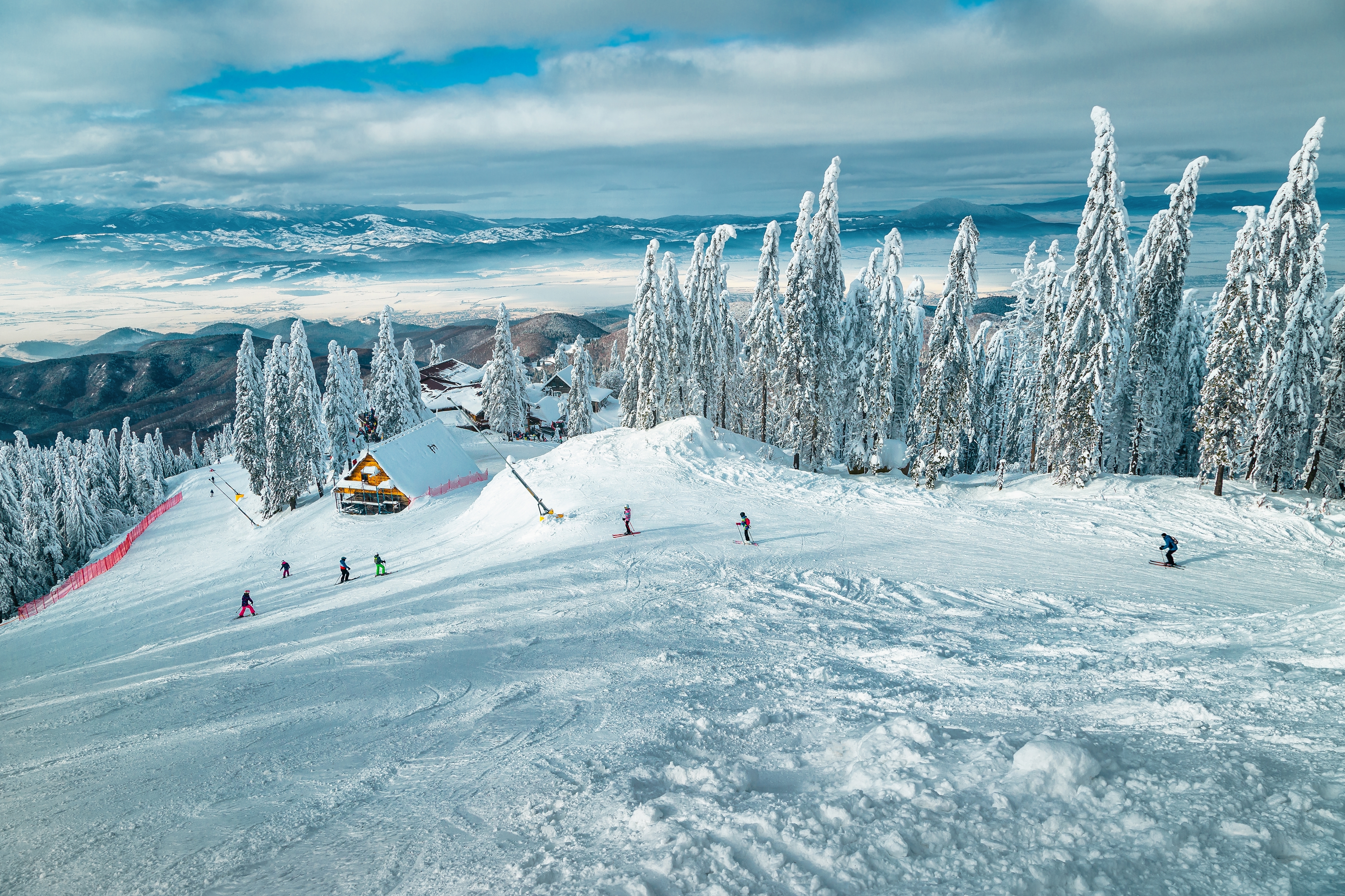 Skiers enjoying a snowy mountain slope surrounded by pine trees – compare ski schools, book lessons and rent ski equipment on checkyeti.